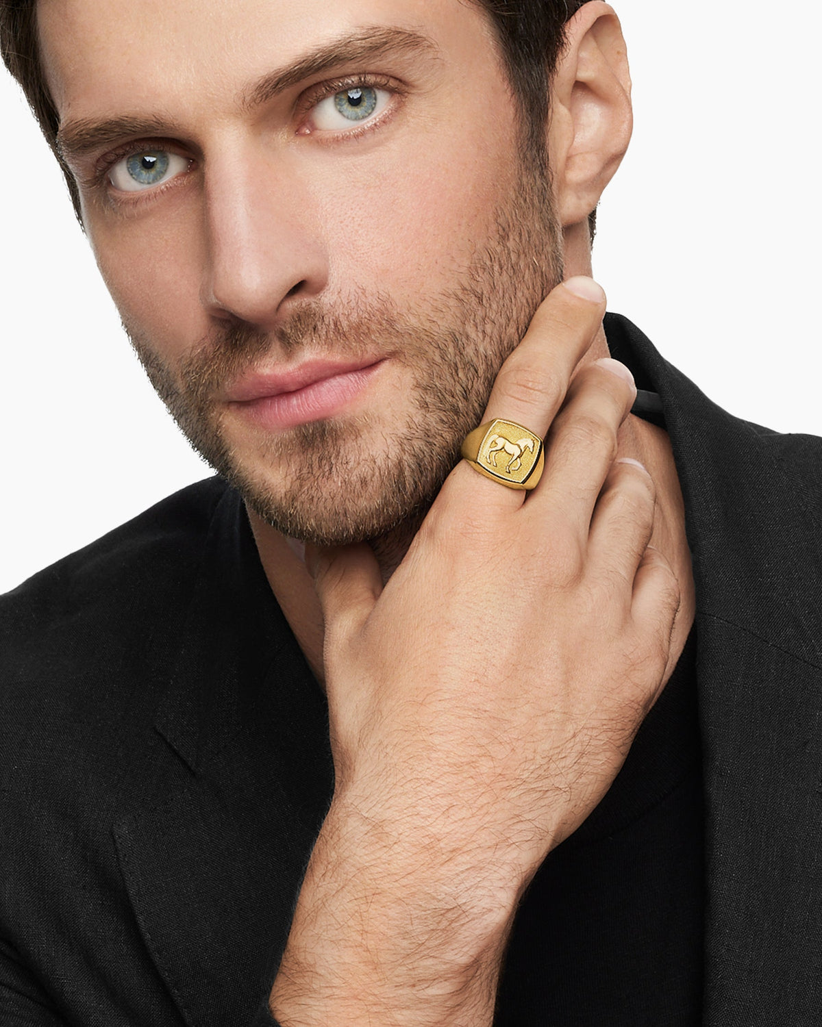 Petrvs Horse Signet Ring