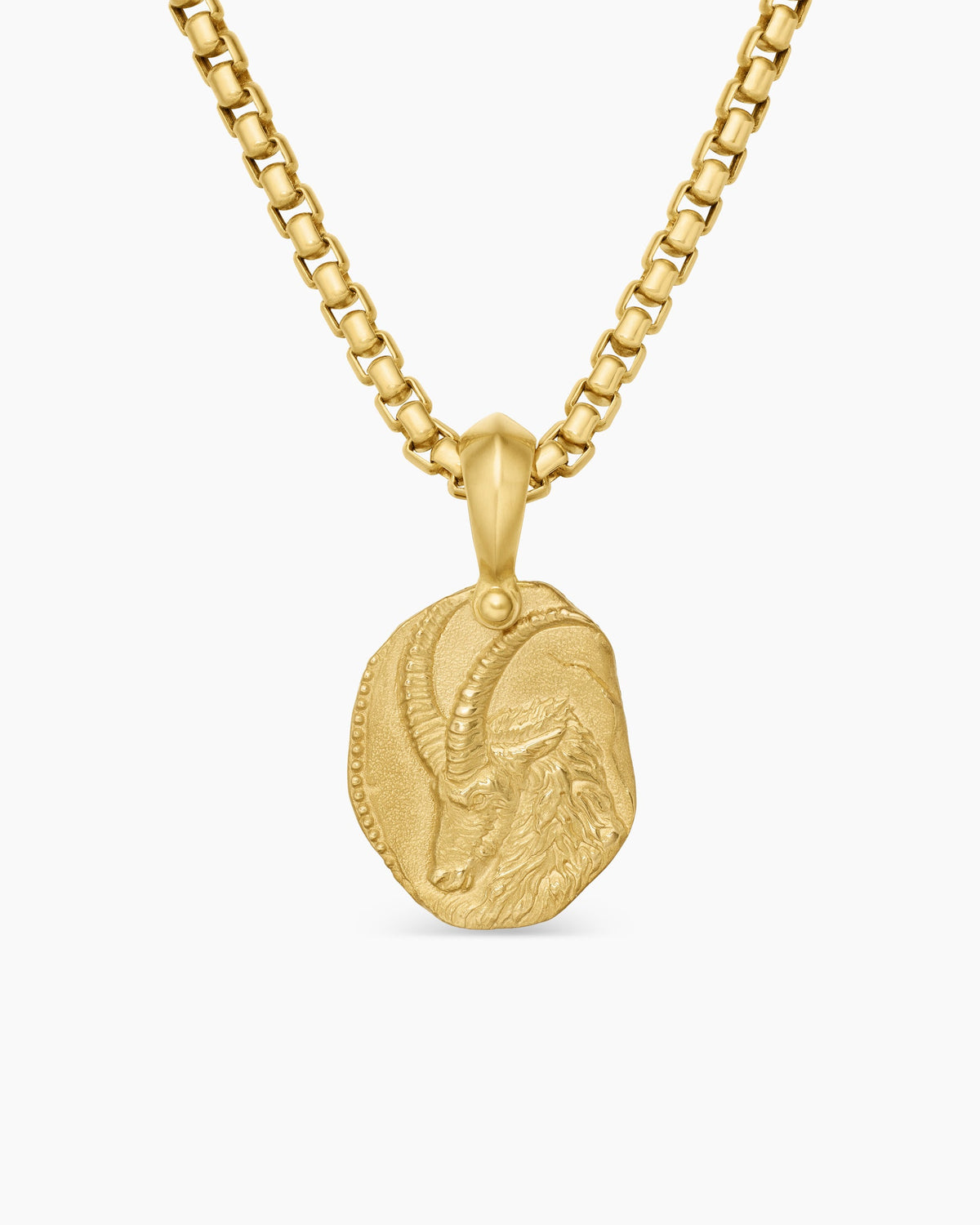 Capricorn Amulet
