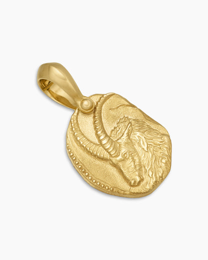 Capricorn Amulet
