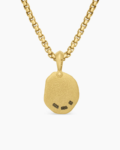 Capricorn Amulet