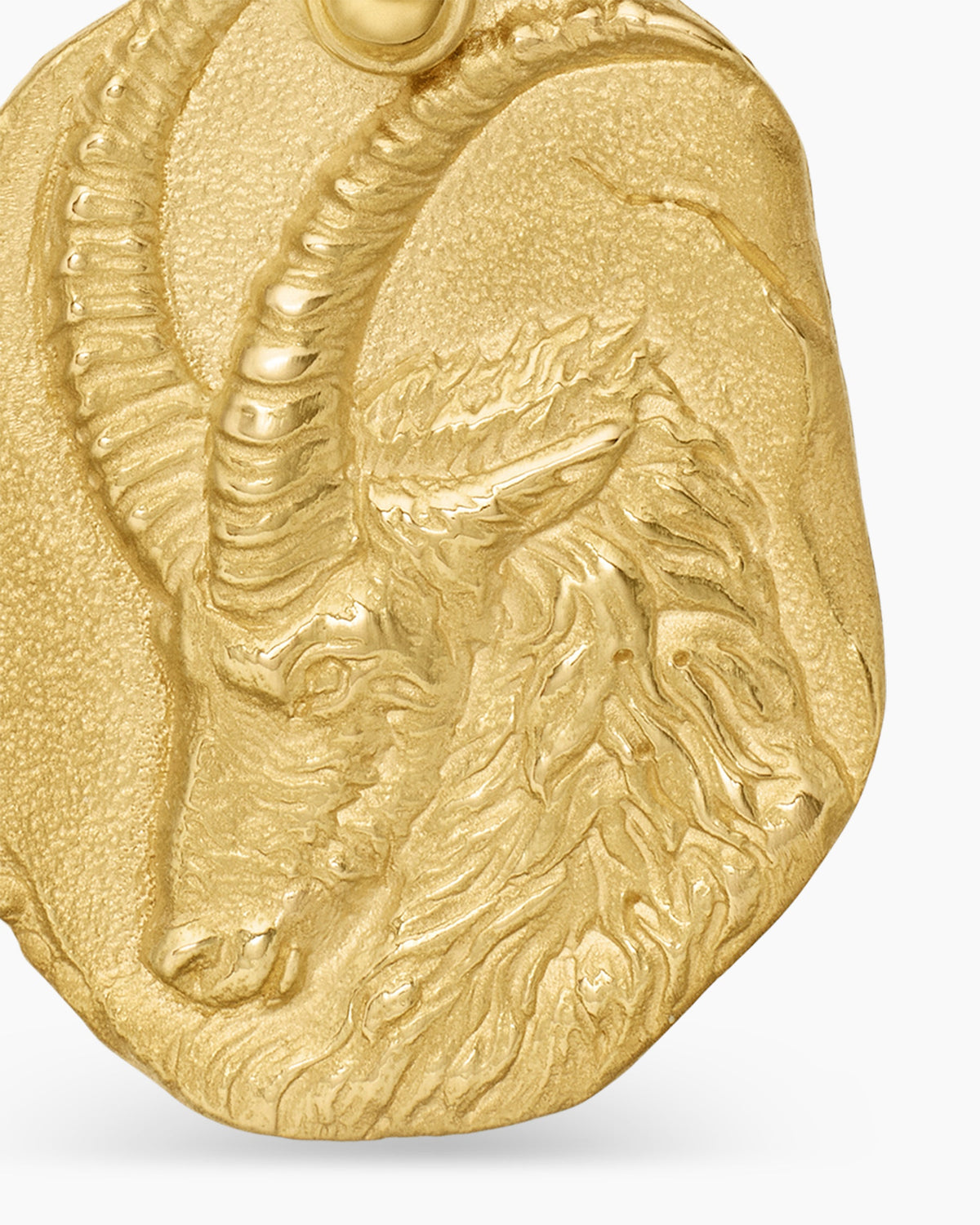 Capricorn Amulet