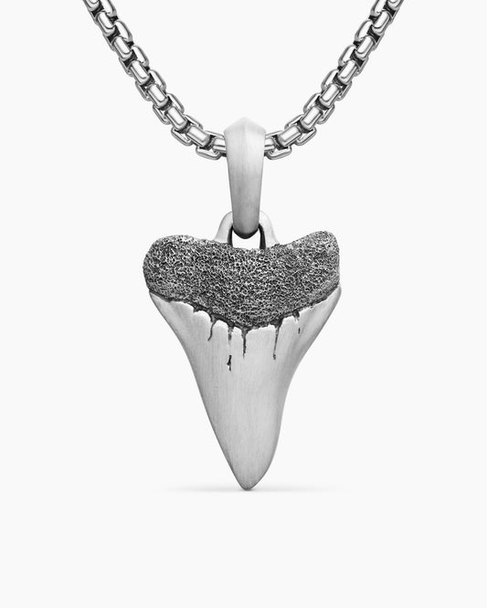 Shark Tooth Amulet
