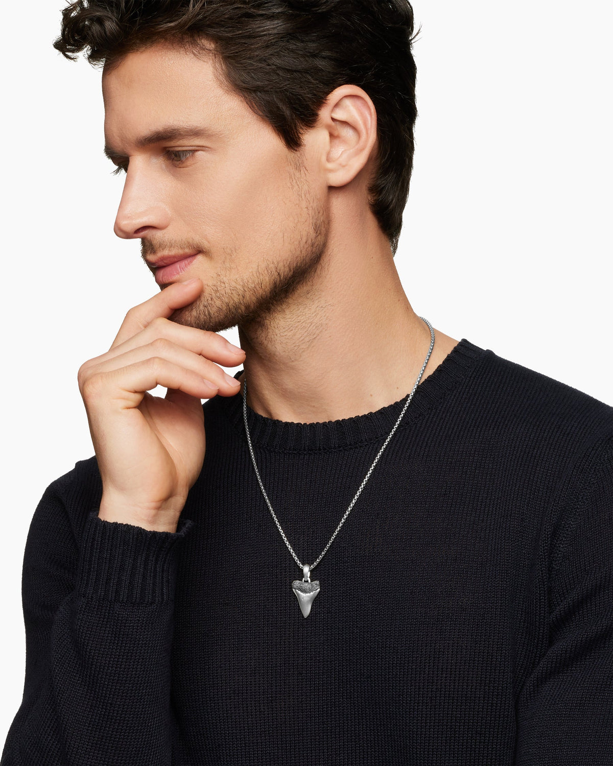 Shark Tooth Amulet