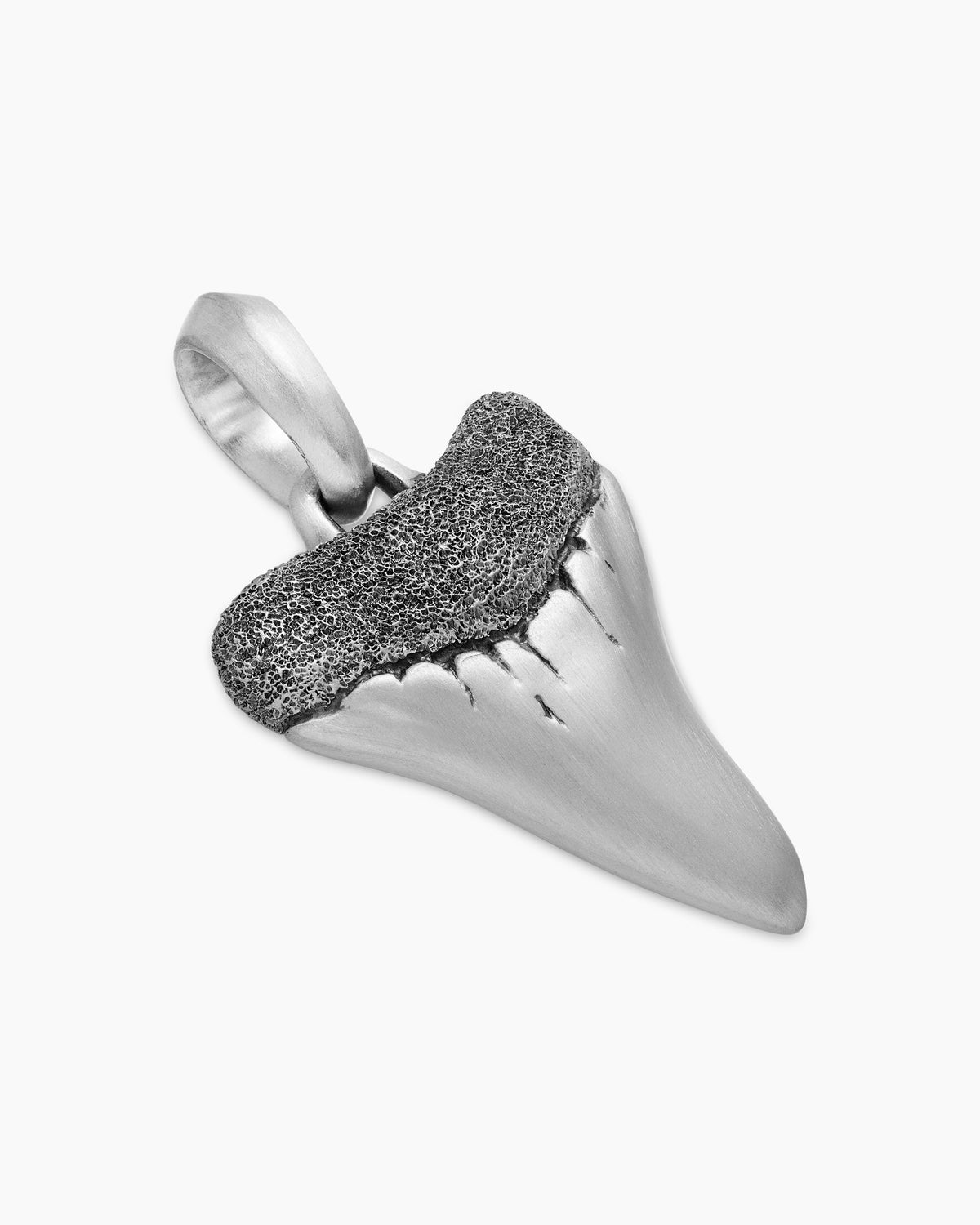 Shark Tooth Amulet