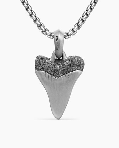 Shark Tooth Amulet