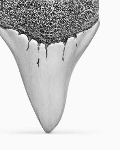 Shark Tooth Amulet