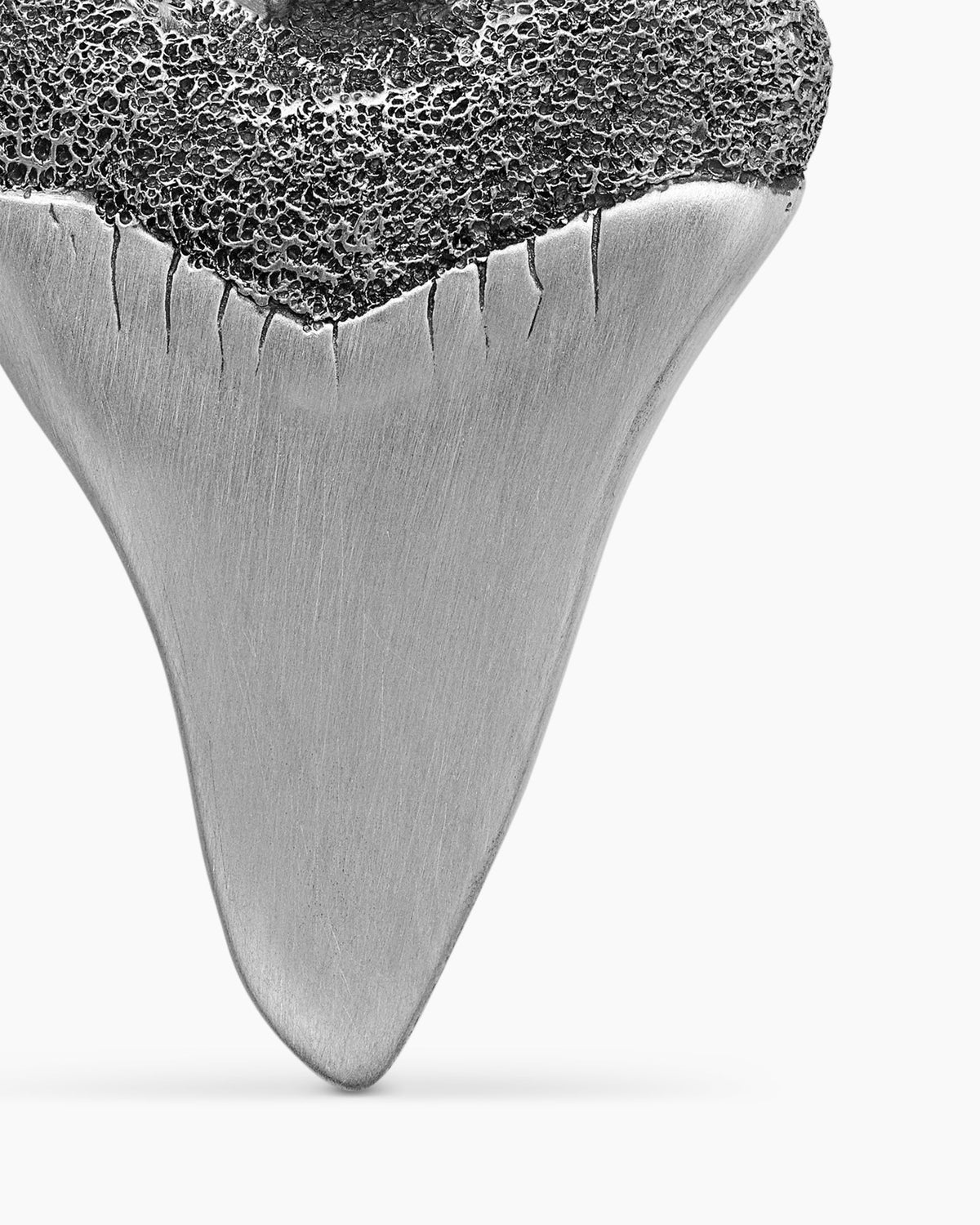 Shark Tooth Amulet