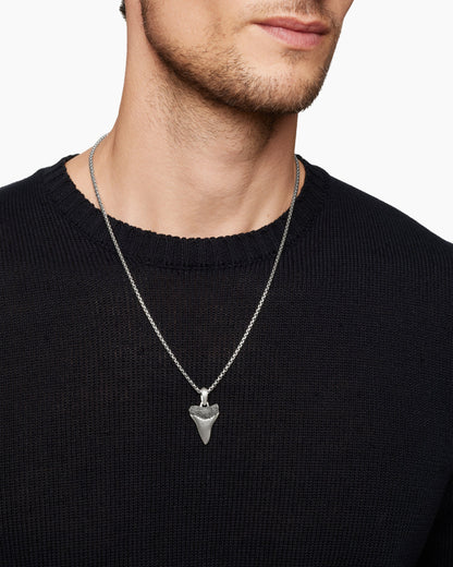 Shark Tooth Amulet
