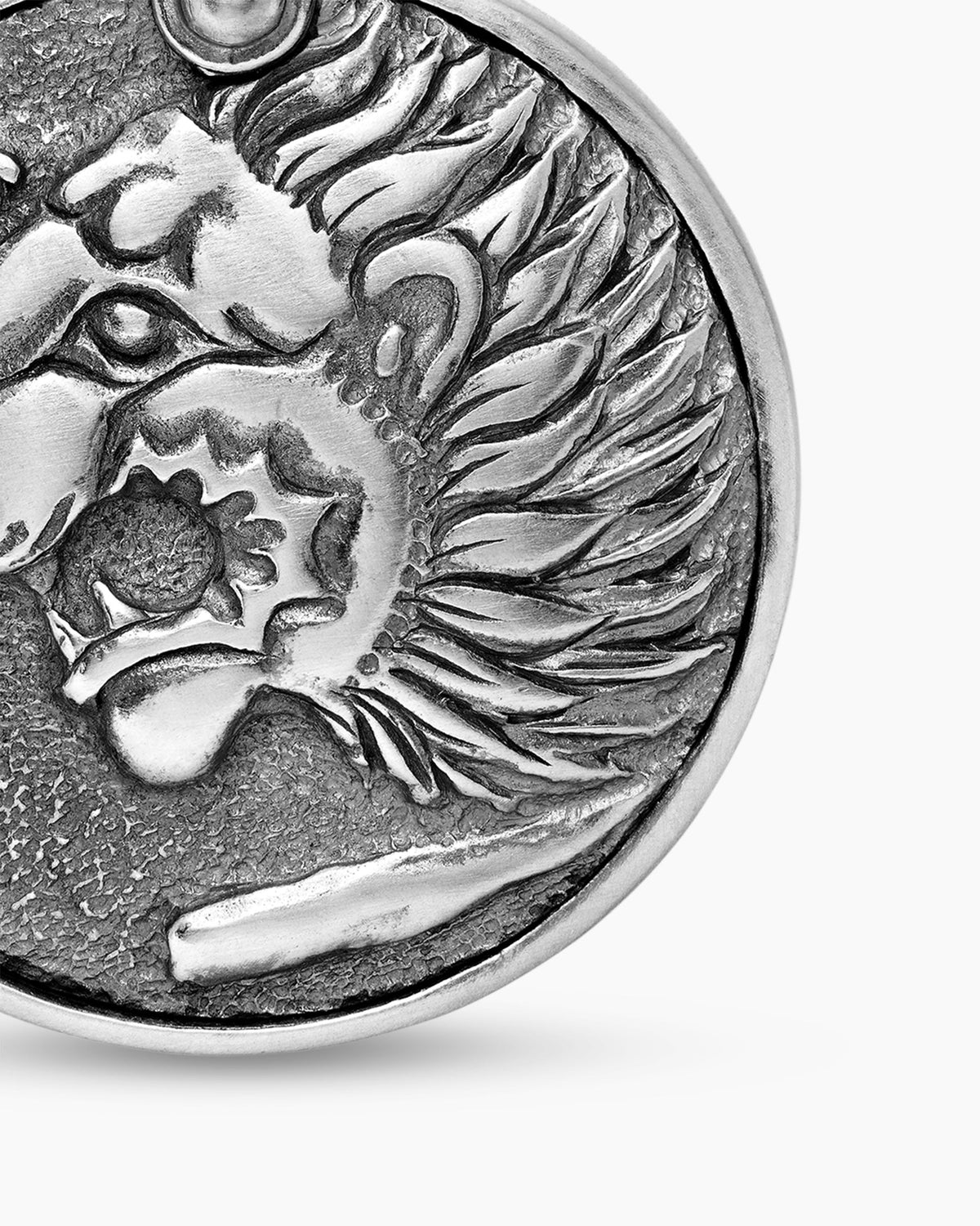 Petrvs Lion Coin Amulet