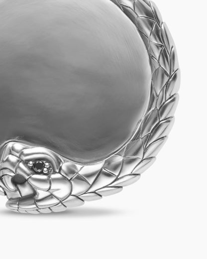 Ouroboros Amulet