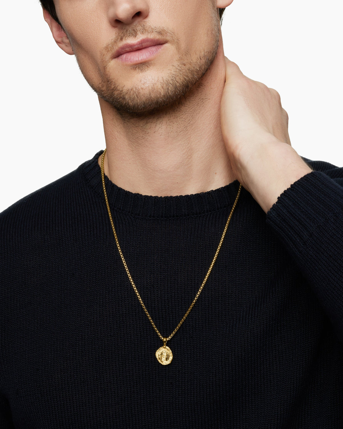 Pisces Amulet