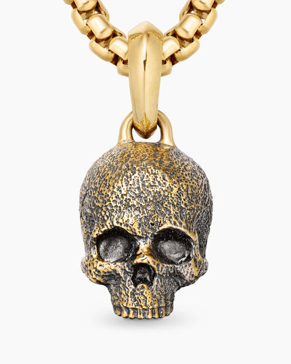 Memento Mori Skull Amulet
